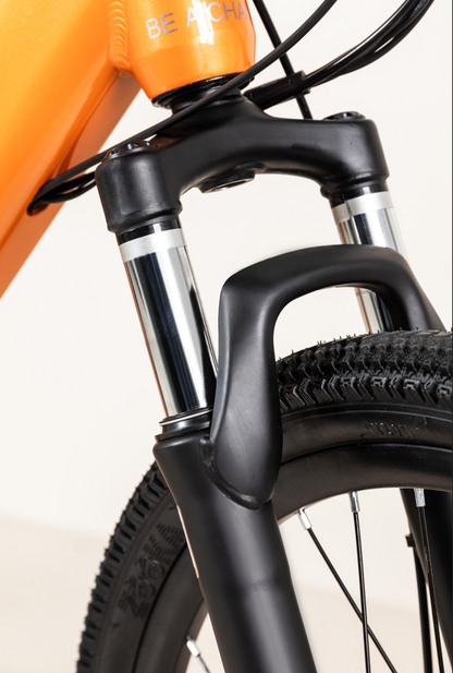 COPPI Goblin E-bike 24"