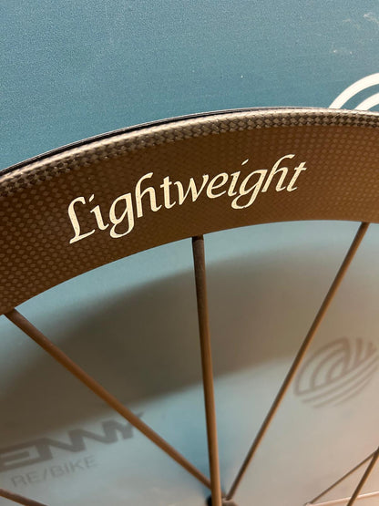 Lekka tarcza Meilenstein EVO - używana