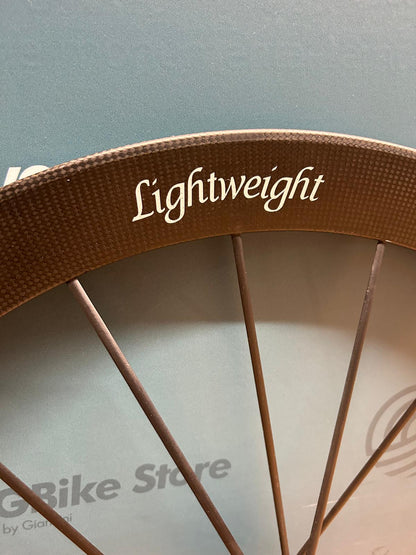 Lekka tarcza Meilenstein EVO - używana