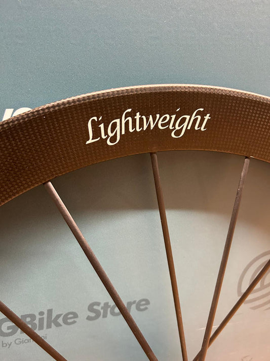 Leichte Meilenstein EVO Disc – Gebraucht