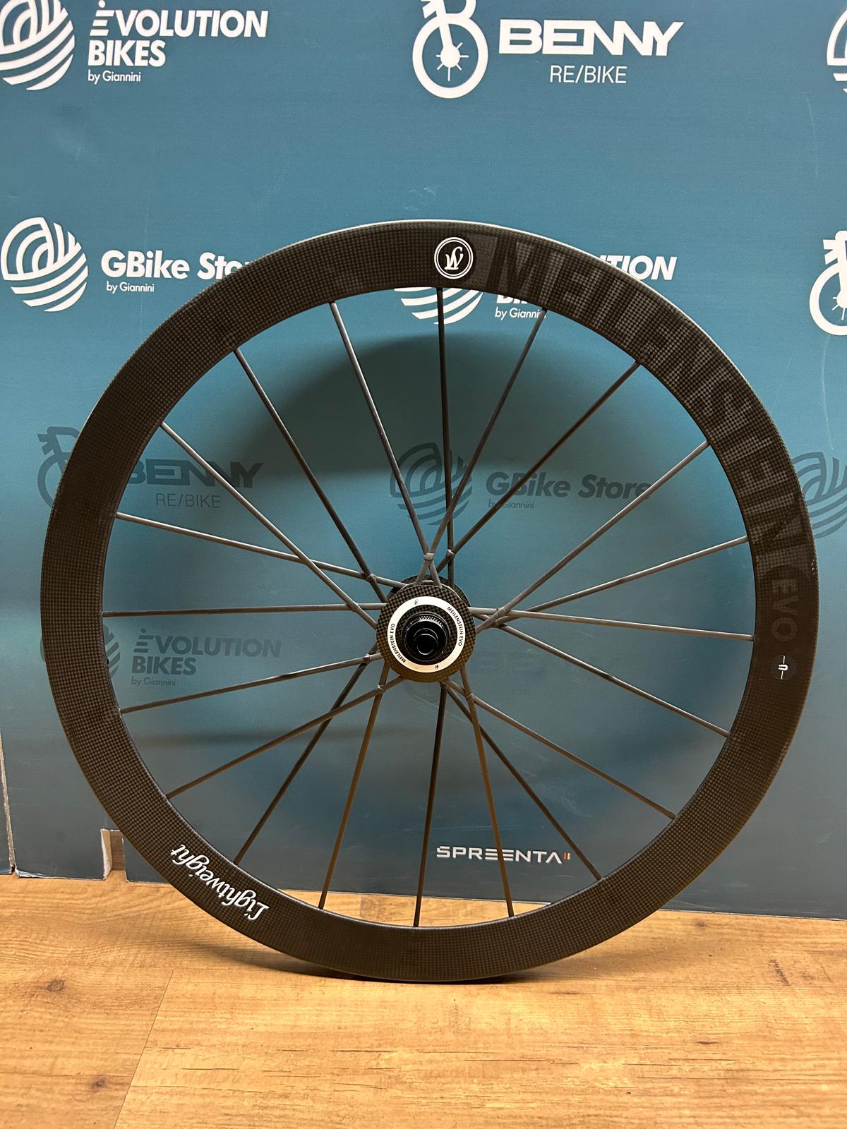 Lekka tarcza Meilenstein EVO - używana