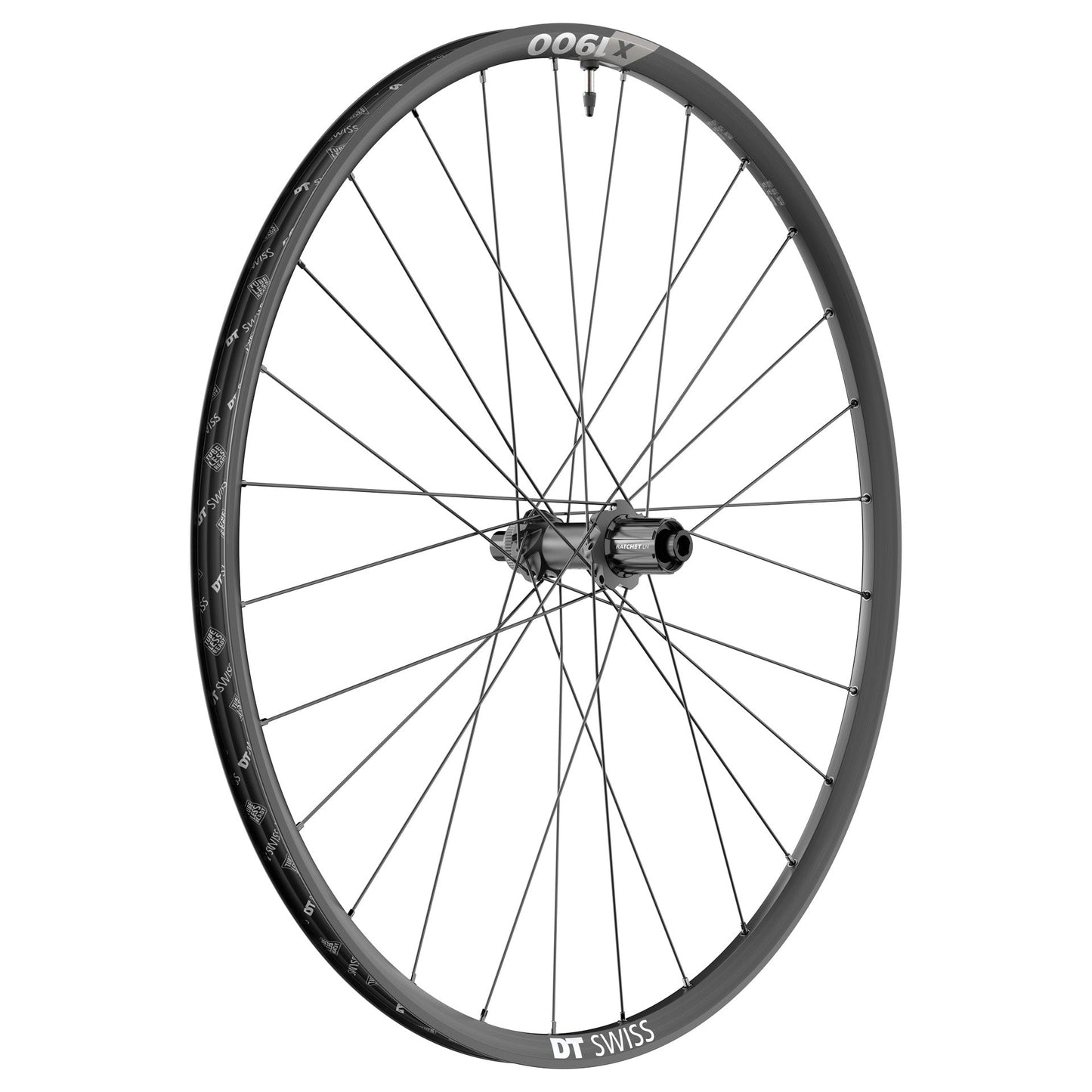 Rear Wheel DT-Swiss X 1900 Spline 29-25mm CL 12-148mm