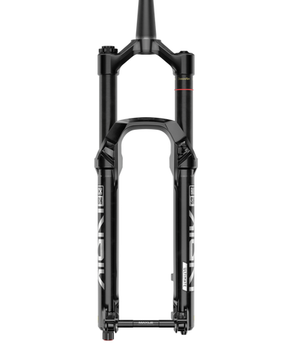 Rockshox am FS Lyrik Ultimate Fork 29