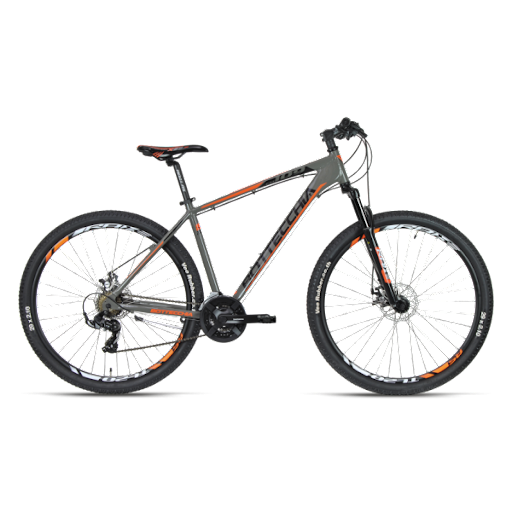 BotteCchia 109 TY500 MECÁNICO DE DISCO 21S 29