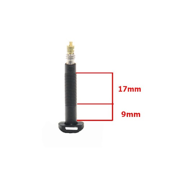 Paire de Valves Presta Tubeless Carbone - 35mm