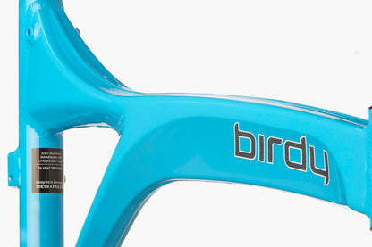 Riese & Muller Birdy Touring